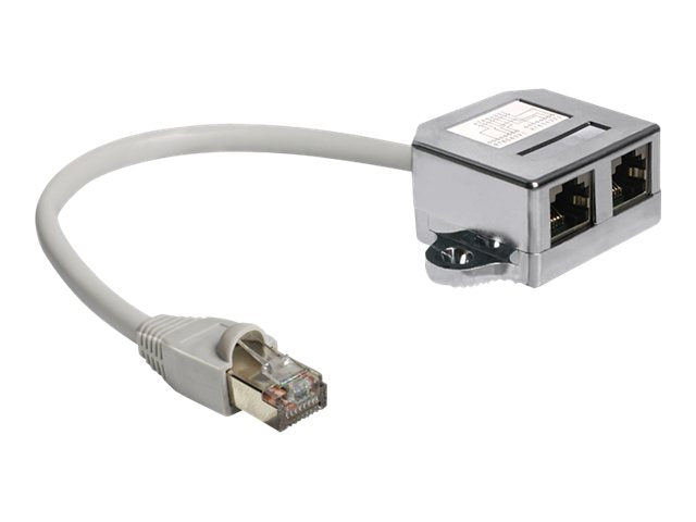 DELOCK RJ45 Port Doppler Vorderansicht