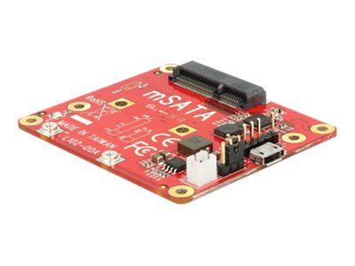 DELOCK Konverter Raspberry Pi USB 2.0 > mSATA Vorderansicht