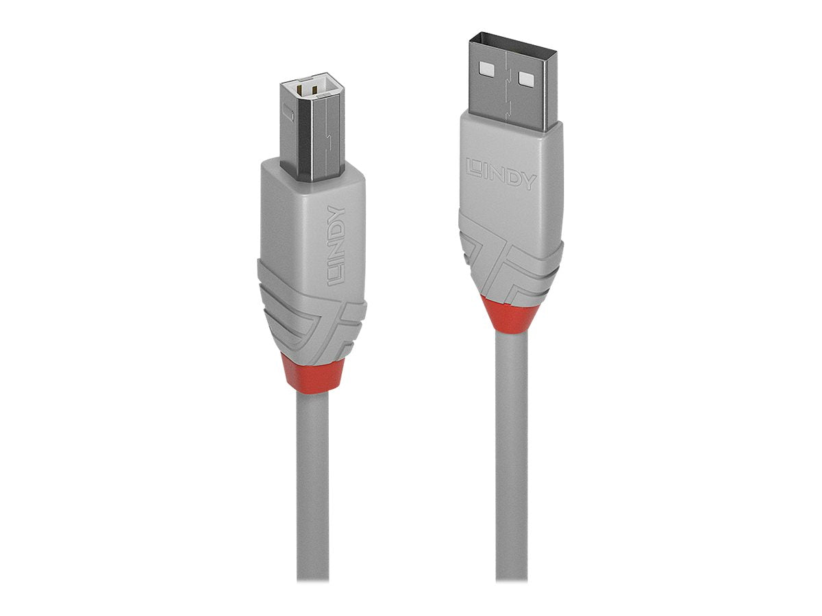 LINDY 3m USB 2.0 Type A to B Cable Vorderansicht