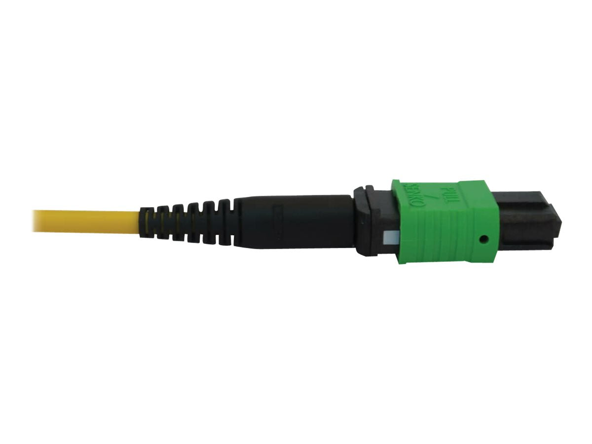 EATON TRIPPLITE 40/100G Singlemode 9/125 OS2 Fiber Optic Cable Verpackung