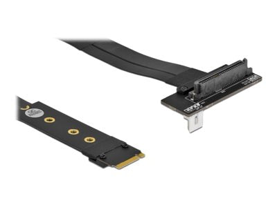 DELOCK M.2 Key M zu U.2 SFF-8639 NVMe Adapter Verpackung