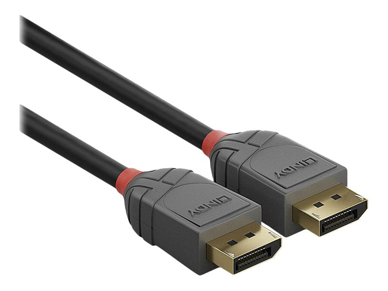 LINDY 3m DisplayPort 1.4 Kabel Anschlussansicht