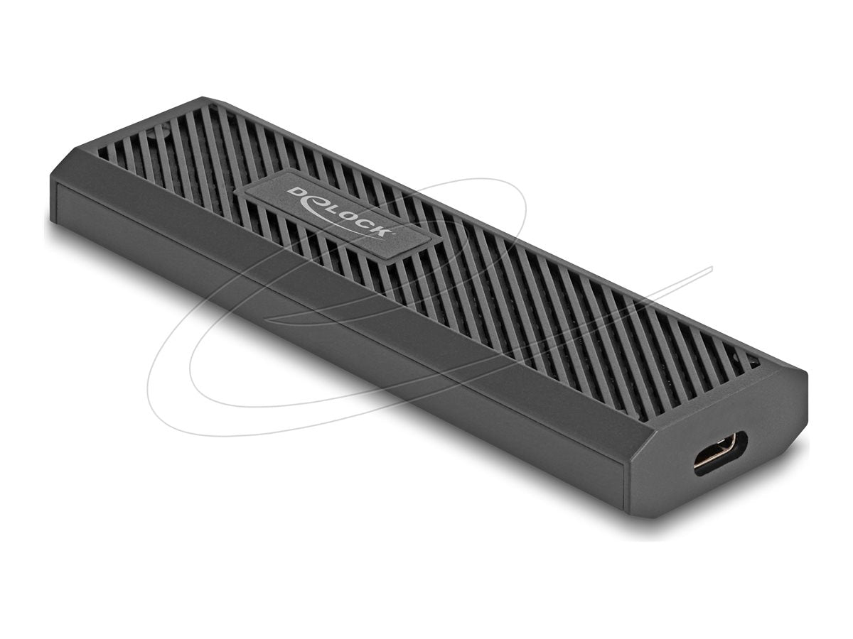 DELOCK Externes USB Type-C 20 Gbps Combo Gehäuse - Vorderansicht