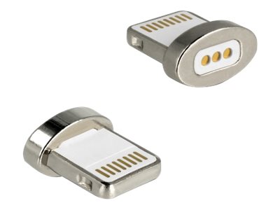 DELOCK Magnetischer Adapter 8 Pin Lightning Stecker Anschlussansicht