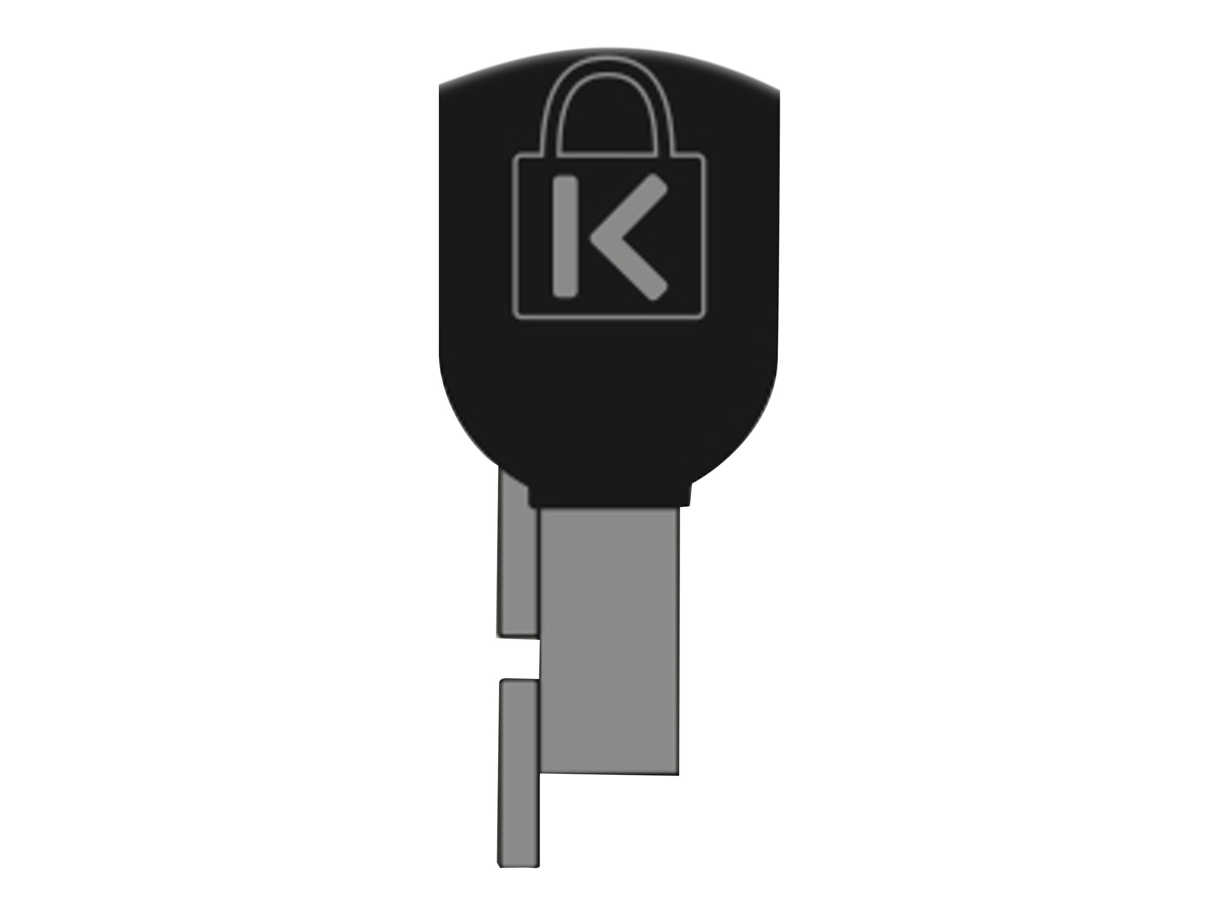KENSINGTON MicroSaver 2.0 Chassis Lock Vorderansicht