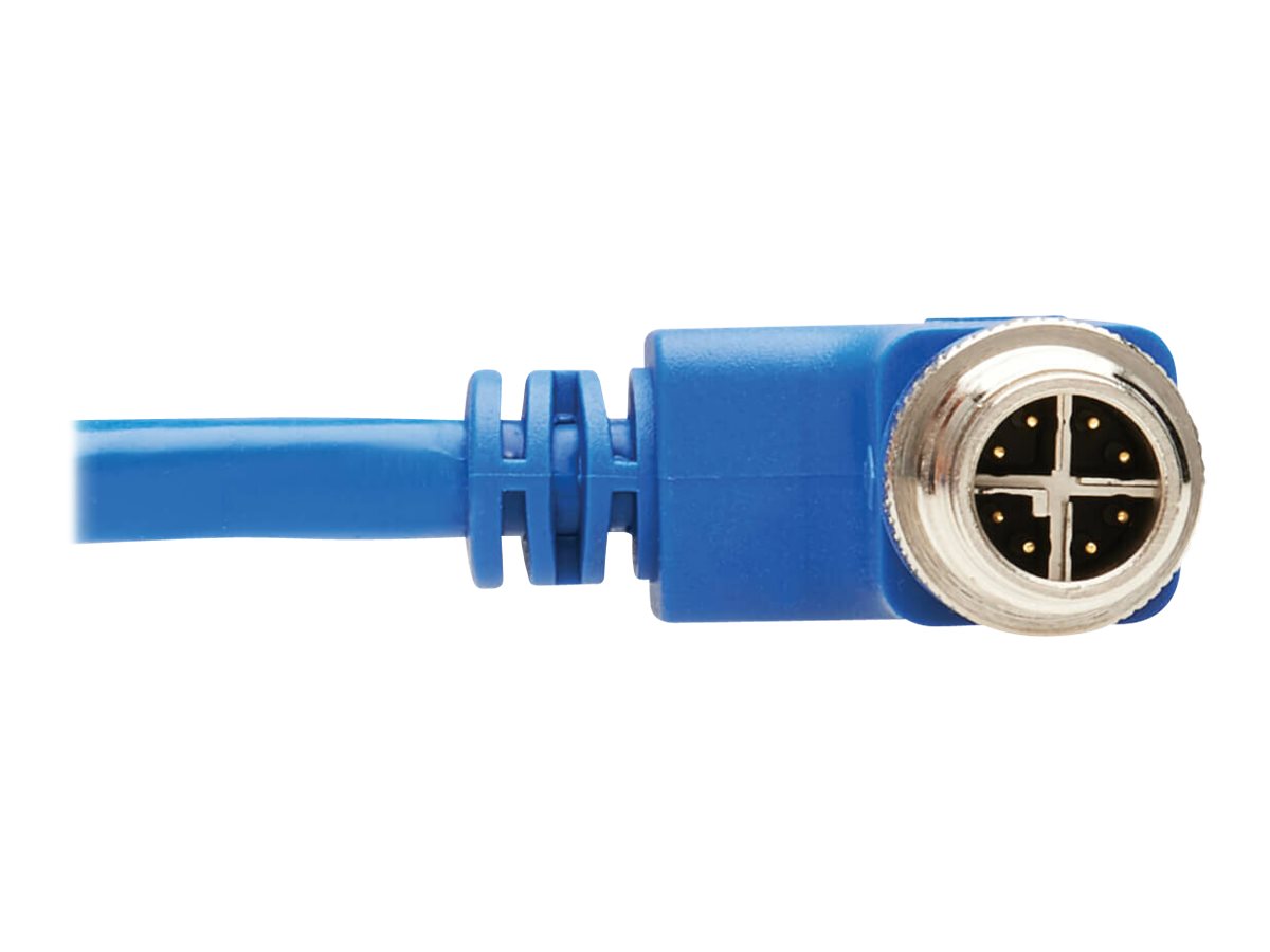 EATON TRIPPLITE M12 X-Code Cat6 1G UTP CMR-LP Ethernet Cable Right-Angle M/M IP68 PoE Blue 2m 6