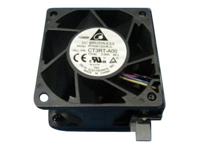 DELL 384-BBSD 2pc Fan Module Kit - Vorderansicht