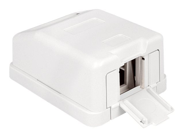 DELOCK Keystone Leergehäuse 1 Port mit Staubschutz - Vorderansicht