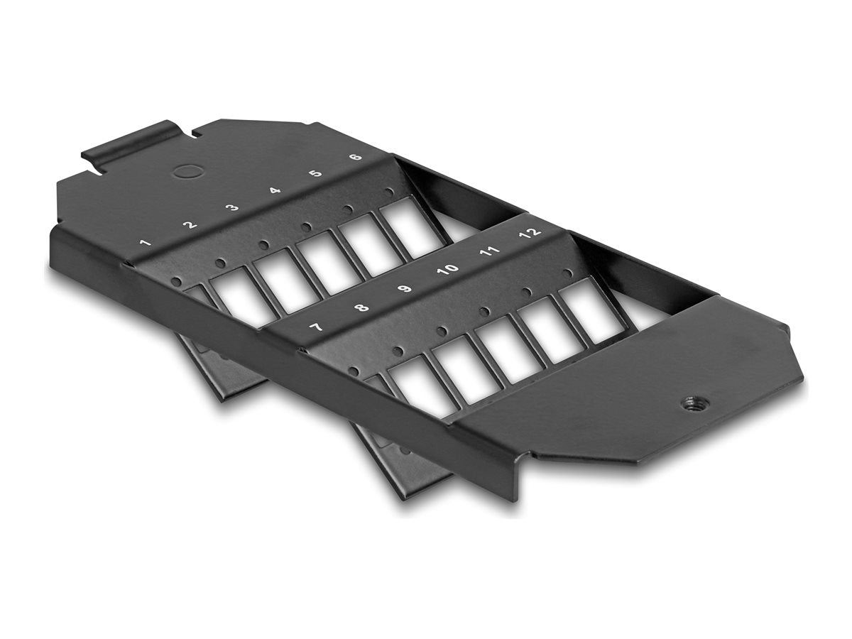 DELOCK LWL Anschlussdose fur Hutschiene mit Spleisshalter und 4 x LC Duplex Kupplung