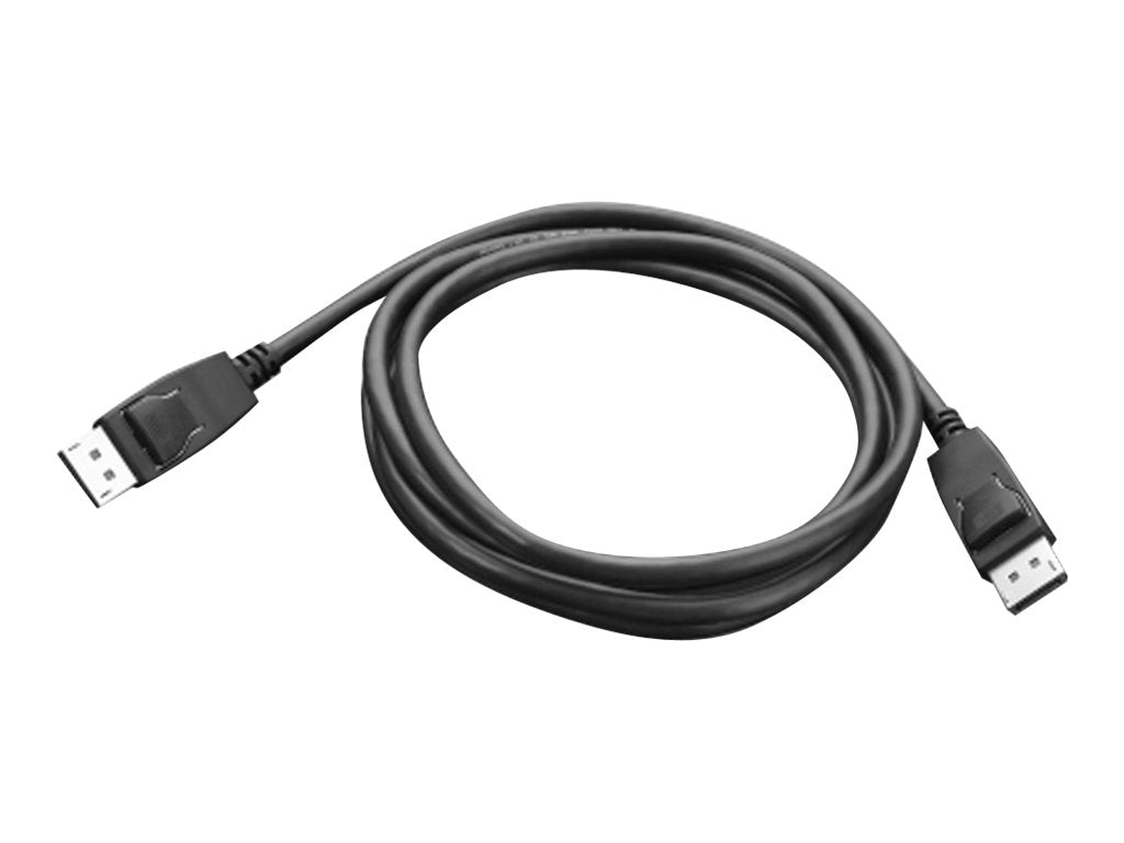 LENOVO DisplayPort to DisplayPort Cable - Vorderansicht
