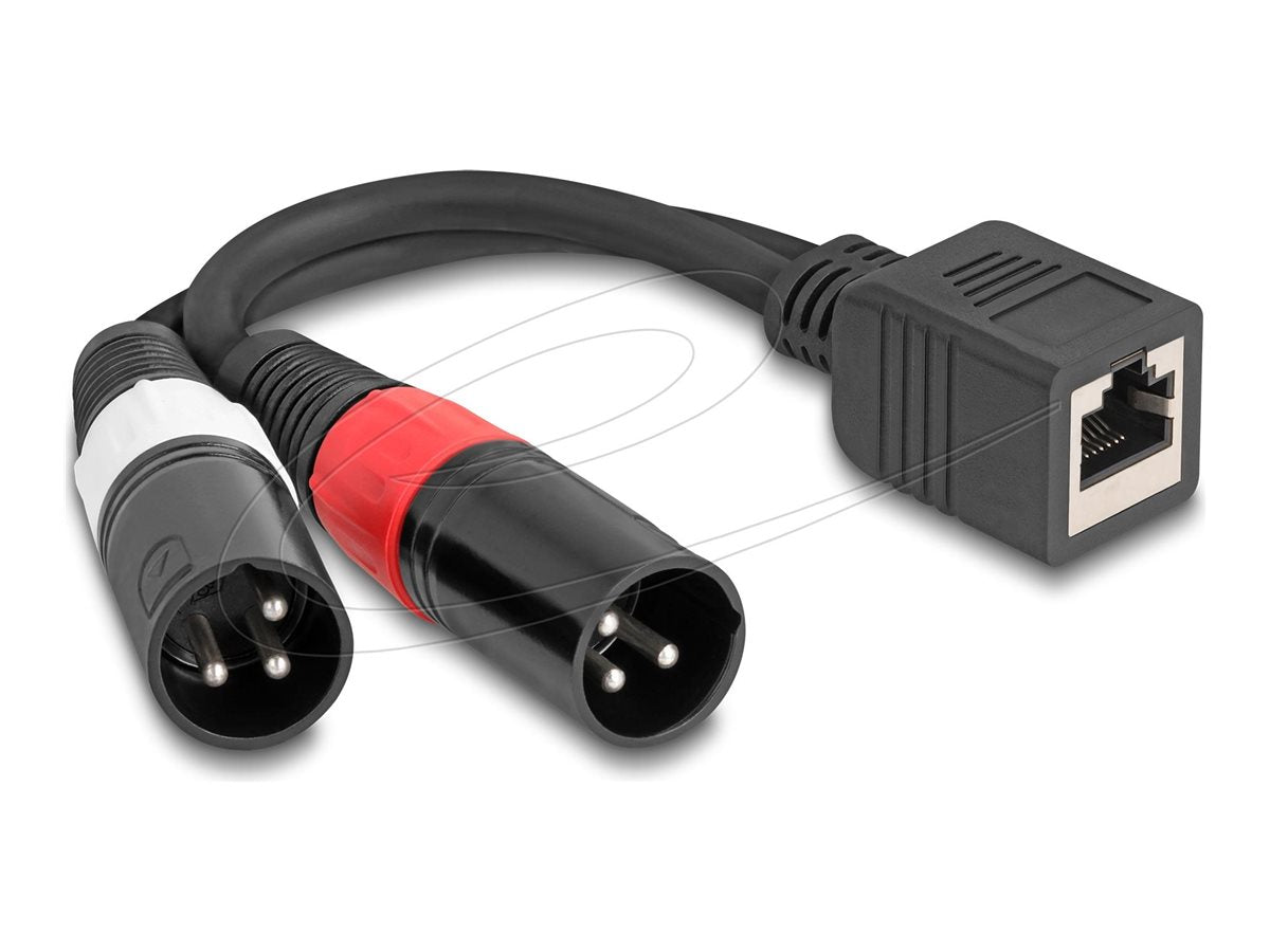 DELOCK Adapterkabel RJ45 Buchse zu 2 x XLR 3 Pin Stecker schwarz 20cm - Vorderansicht