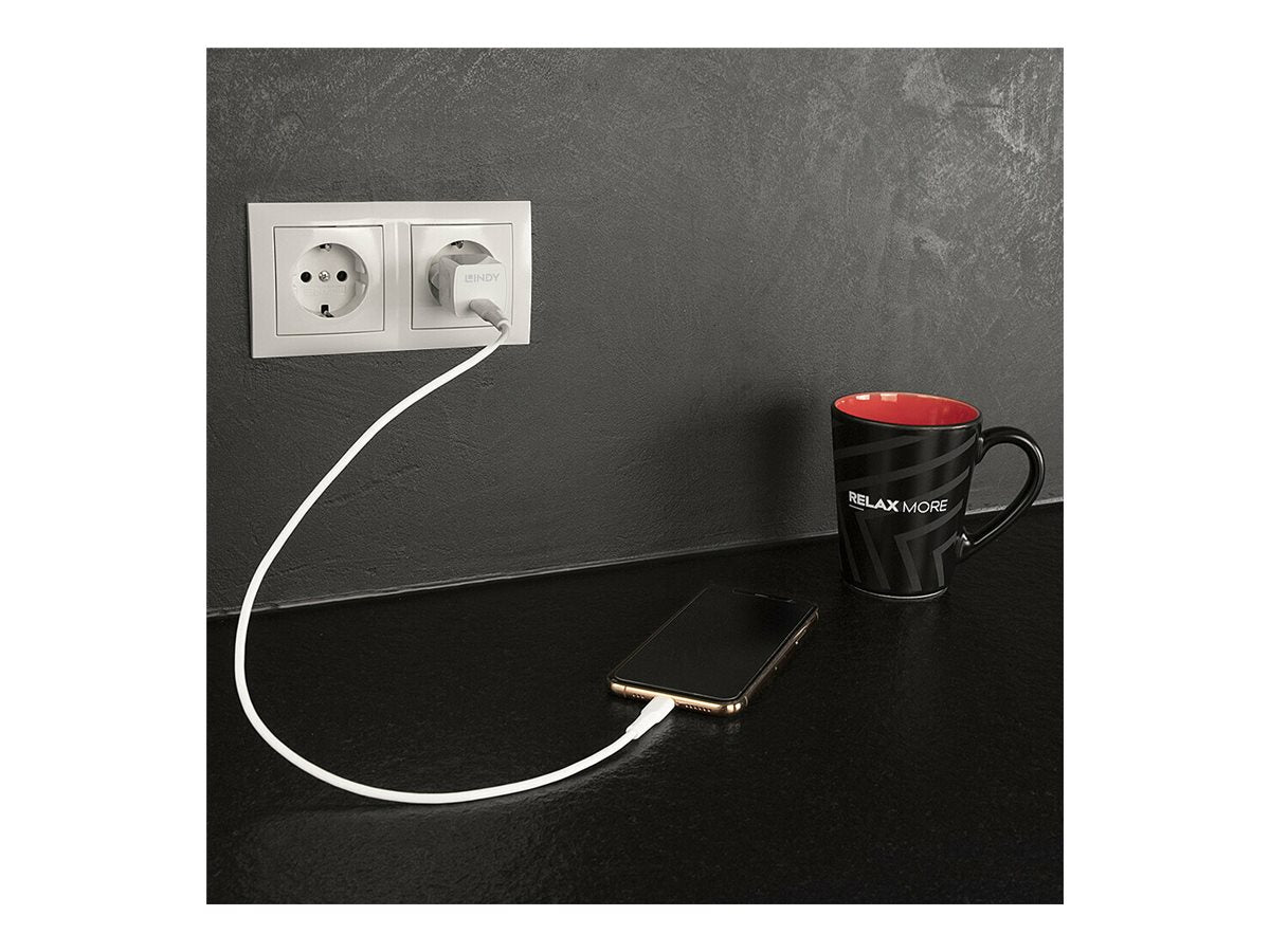 LINDY 20W Typ C PD Charger Vorderansicht