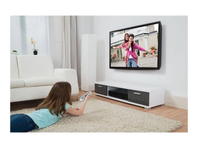 TECHLY Wandhalterung Detailansicht