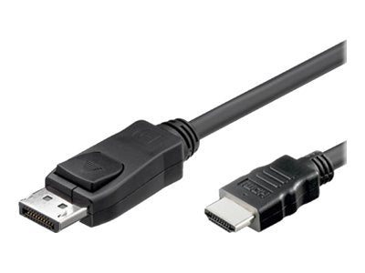 TECHLY Konverterkabel DisplayPort 1.1 auf HDMI 1m - Vorderansicht