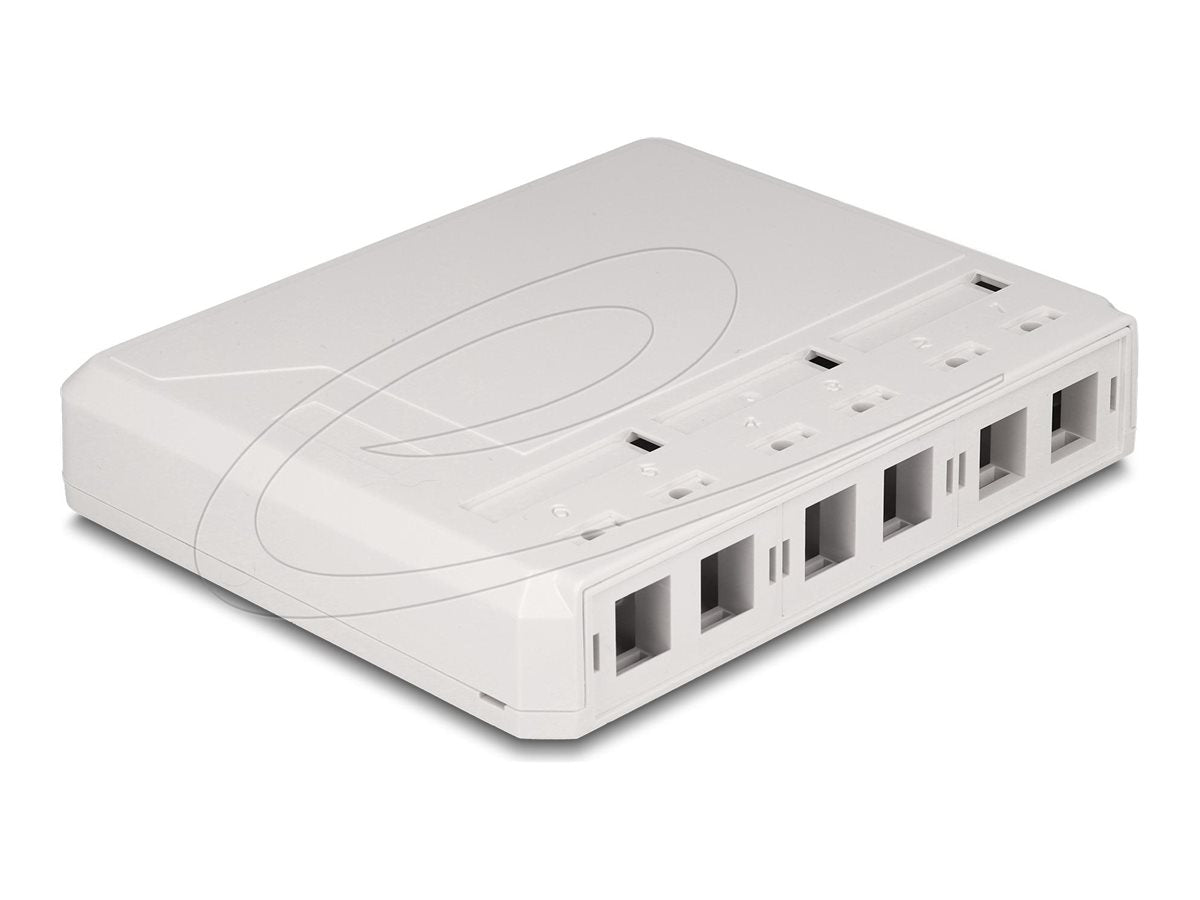 DELOCK Keystone Leergehäuse 6 Port Vorderansicht