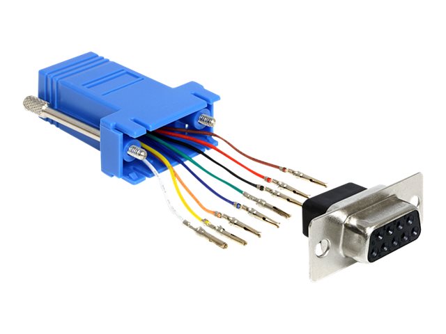 DELOCK Adapter Sub-D 9Pin Bu > RJ45 Bu. Montagesatz - Vorderansicht