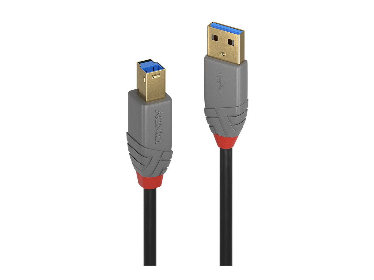 LINDY 5m USB 3.0 Typ A an B Kabel Vorderansicht