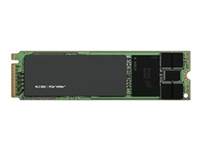 DELL 480GB NVMe Read Intensive FIPS-140 M.2 2280 Riser CK - Vorderansicht