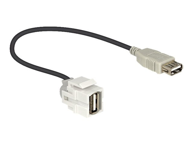 DELOCK Keystone Modul USB 2.0 A Buchse mit Kabel weiss - Vorderansicht