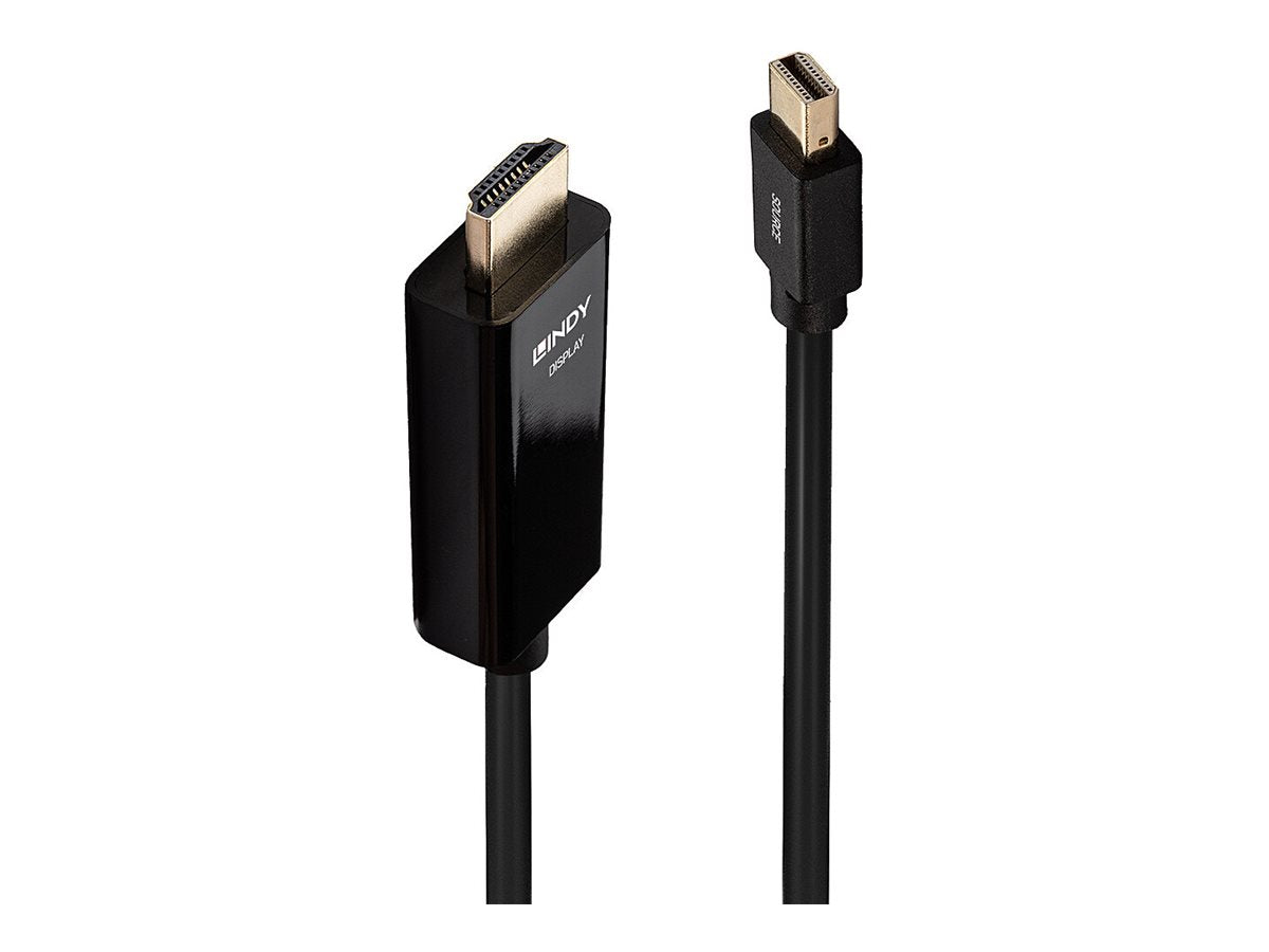 LINDY Kabel Mini DisplayPort/HDMI 4K30 DP: passiv 3m - Vorderansicht