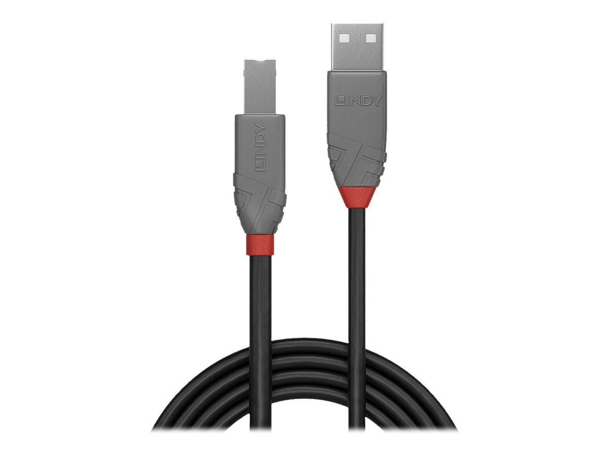 LINDY 1m USB 2.0 Type A to B Cable Vorderansicht