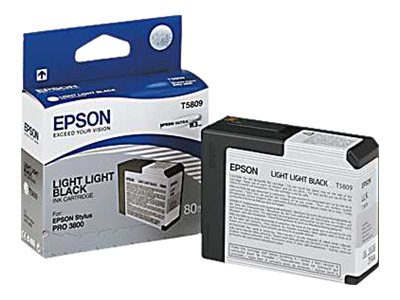 EPSON T5809 Tintenpatrone Light Light Black Detailansicht