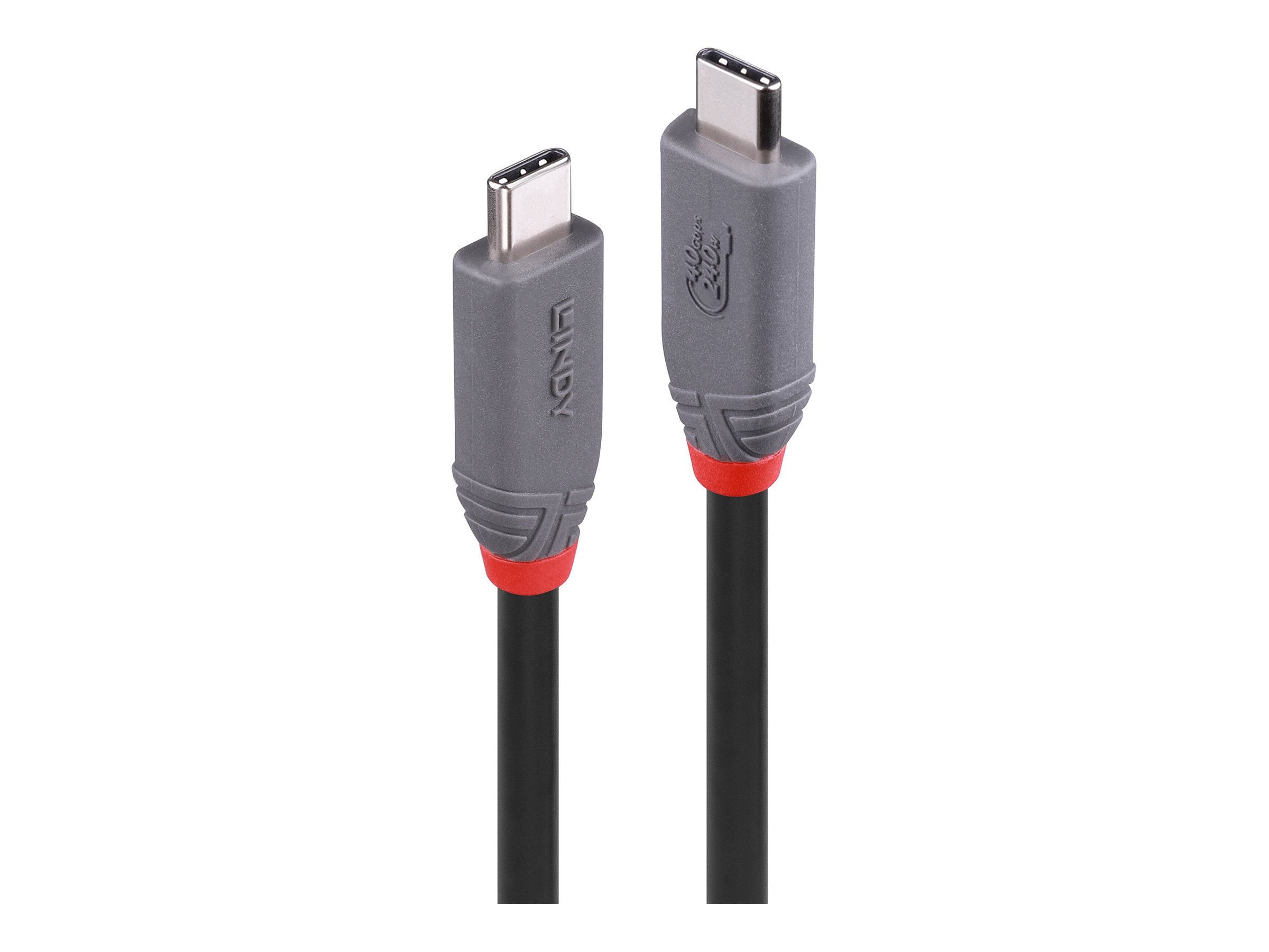 LINDY 2m USB 4 240W Type C Cable Detailansicht