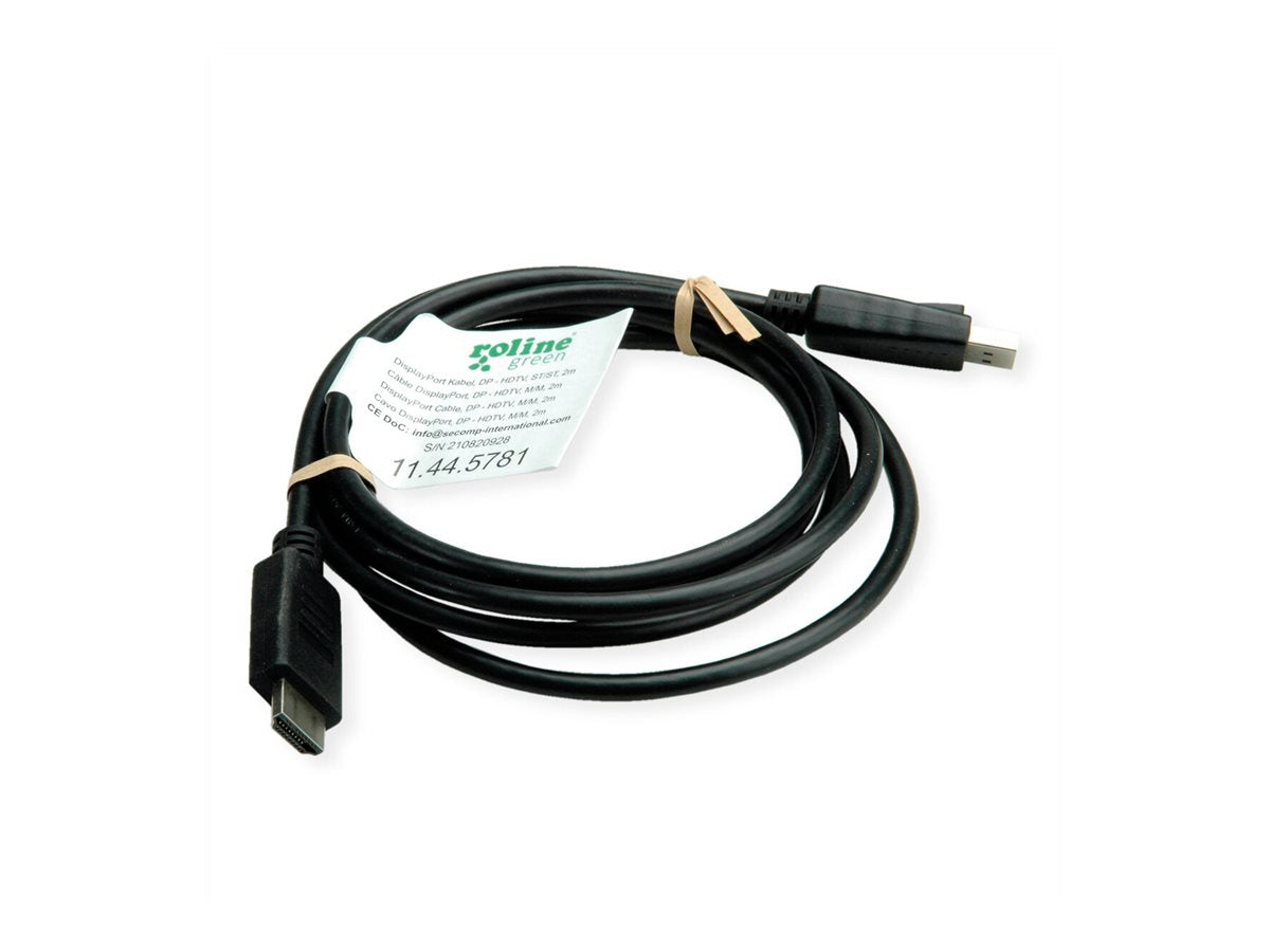 ROLINE GREEN DisplayPort Kabel DP - HDTV ST/ST schwarz 1m Vorderansicht