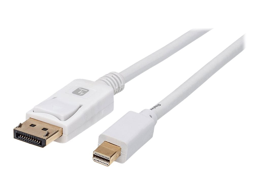 TECHLY Mini-DisplayPort M auf DisplayPort M Kabel 4K 60Hz Vorderansicht