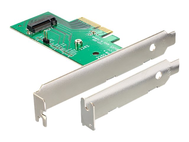 DELOCK PCIe 4.0 x4 Karte Vorderansicht