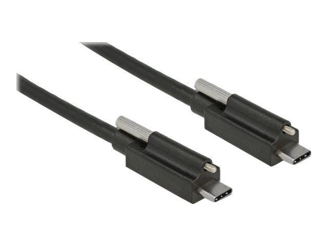 DELOCK Kabel SuperSpeed USB 10 Gbps USB 3.1 Gen 2 USB Type-C Stecker Vorderansicht