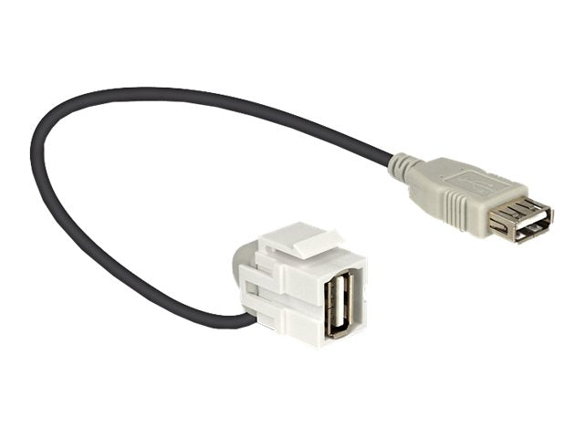 DELOCK Keystone Modul USB 2.0 A Buchse 110 > USB 2.0 A Buchse mit Kabel weiss