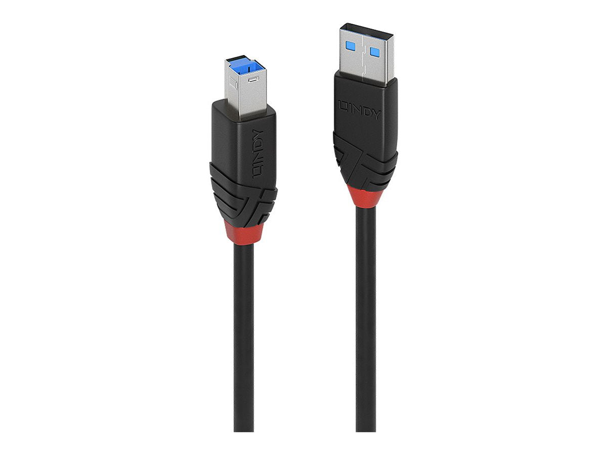 LINDY 10m USB 3.0 Aktivkabel Slim USB Typ A Stecker an USB Typ B Stecker - Vorderansicht