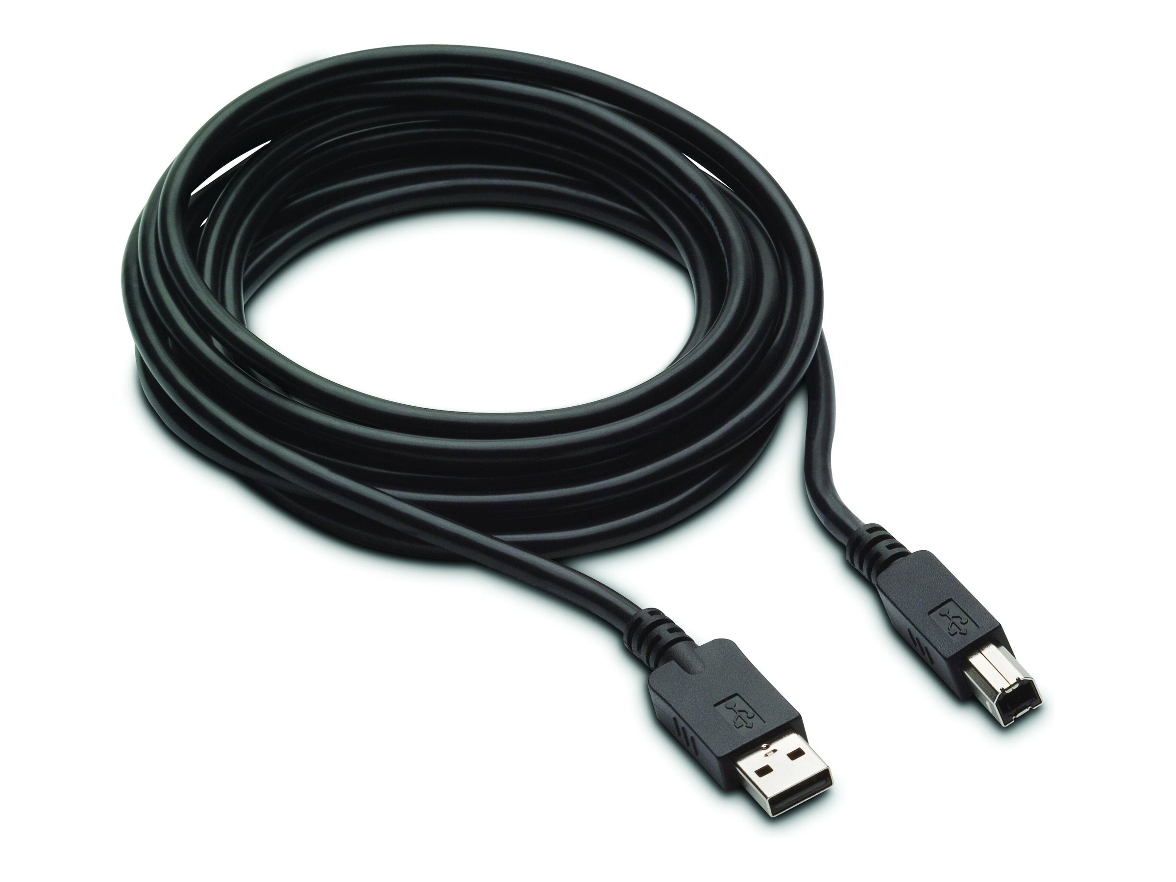 HP 300cm DP+USB B-A CABLES Vorderansicht