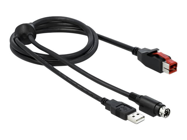 DELOCK PoweredUSB Kabel Stecker 24V zu USB Typ-A Stecker + mini-DIN 3 Pin Stecker Vorderansicht