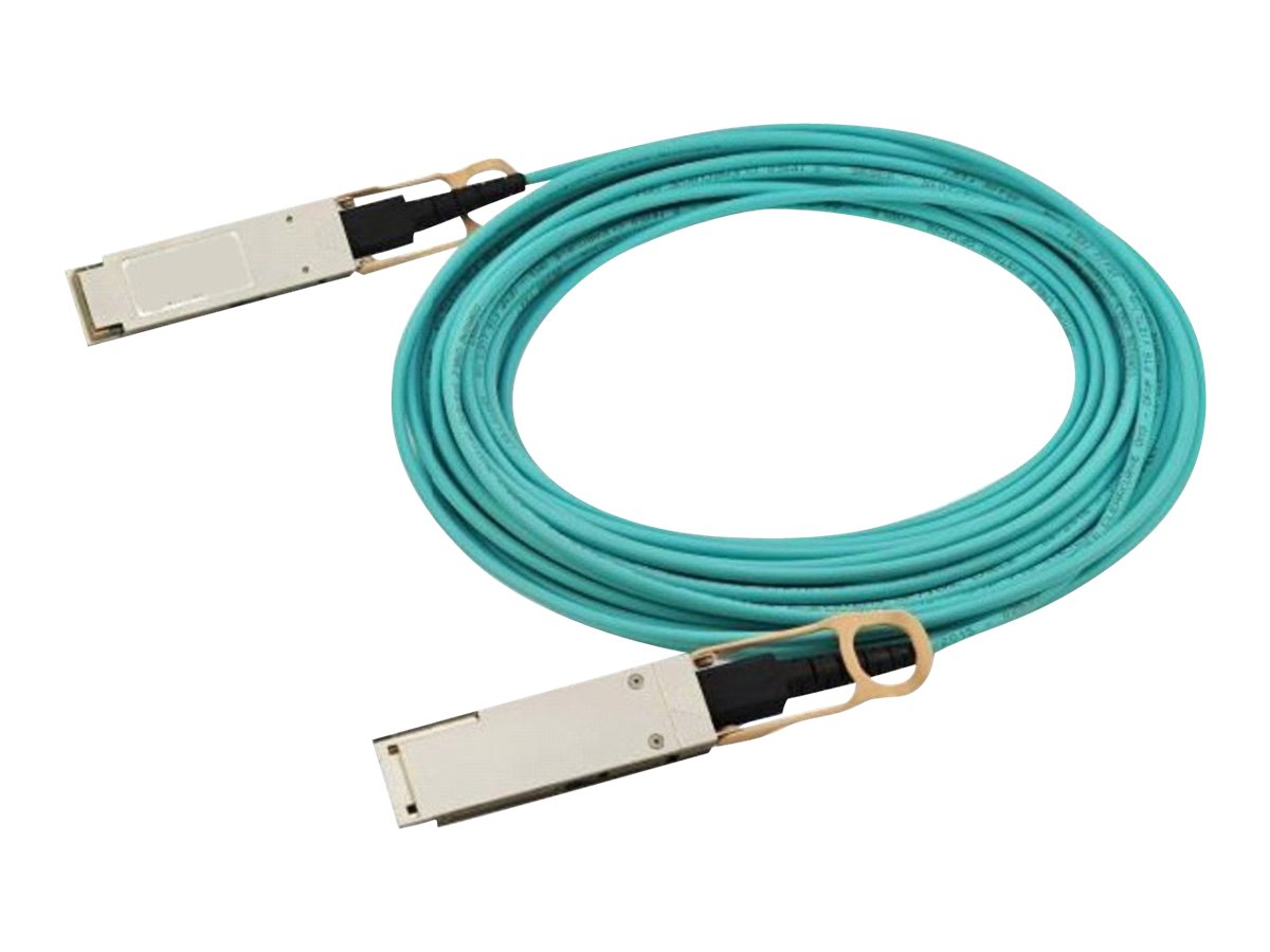 ARUBA HPE Aruba Active Optical Cable 100Gbit/s QSFP28 to QSFP28 2m - Vorderansicht