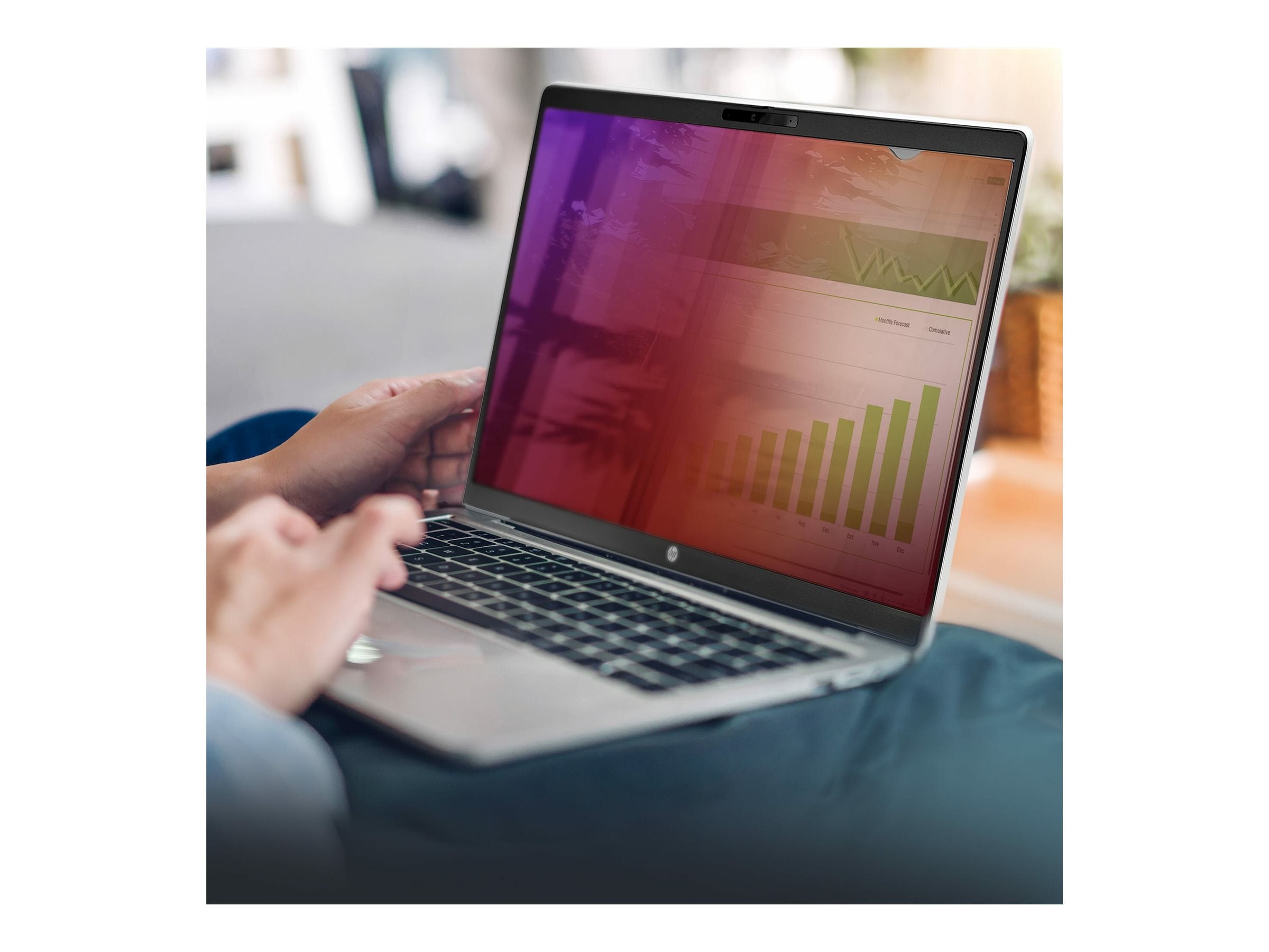 STARTECH.COM 14 Zoll Laptop Blickschutzfolie Vorderansicht