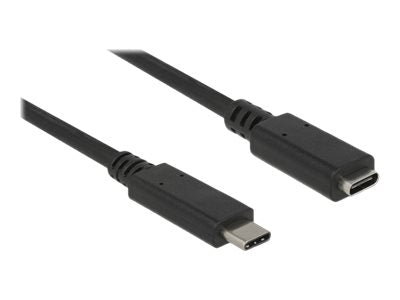 DELOCK Verlängerungskabel USB 3.1 Gen 1 USB Type-C Vorderansicht