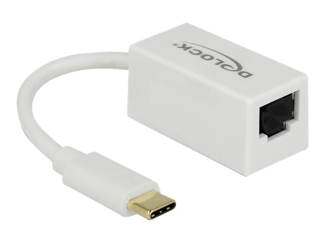 DELOCK Adapter SuperSpeed USB USB 3.1 Gen 1 Vorderansicht