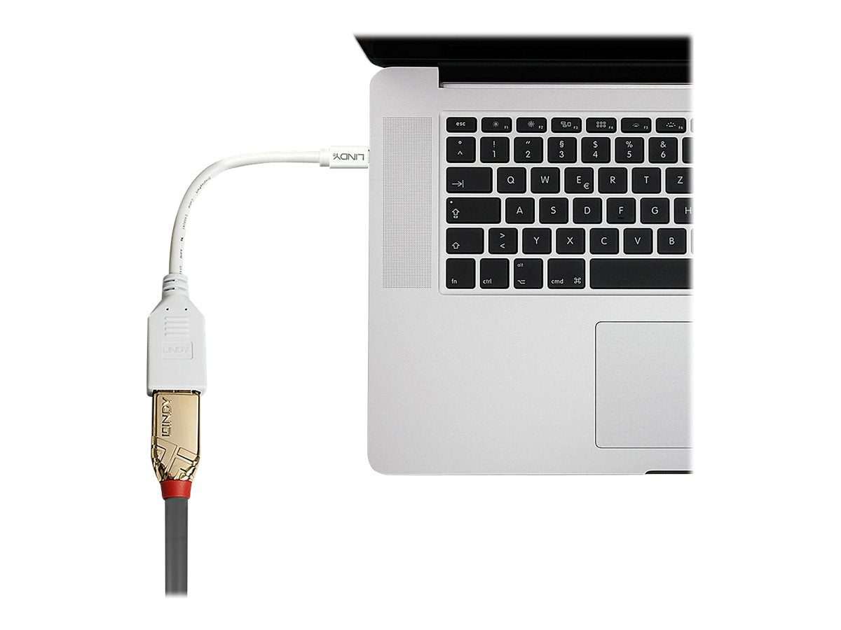 LINDY Adapterkabel Mini-DP M/DP F Kupplung Premium geschirmt - Verpackung