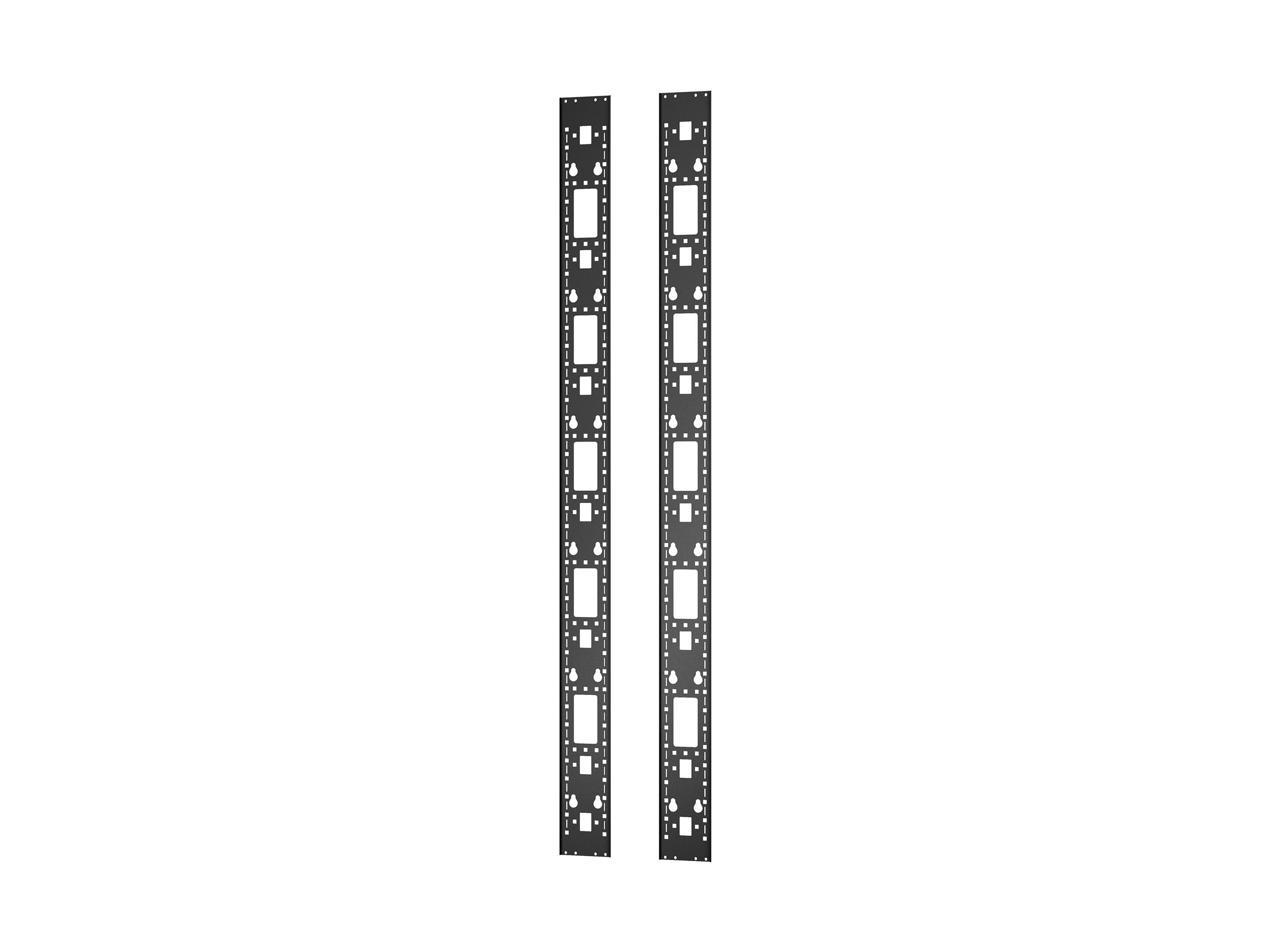 APC Easy Rack Vertical 0U accessory channel 42U Vorderansicht