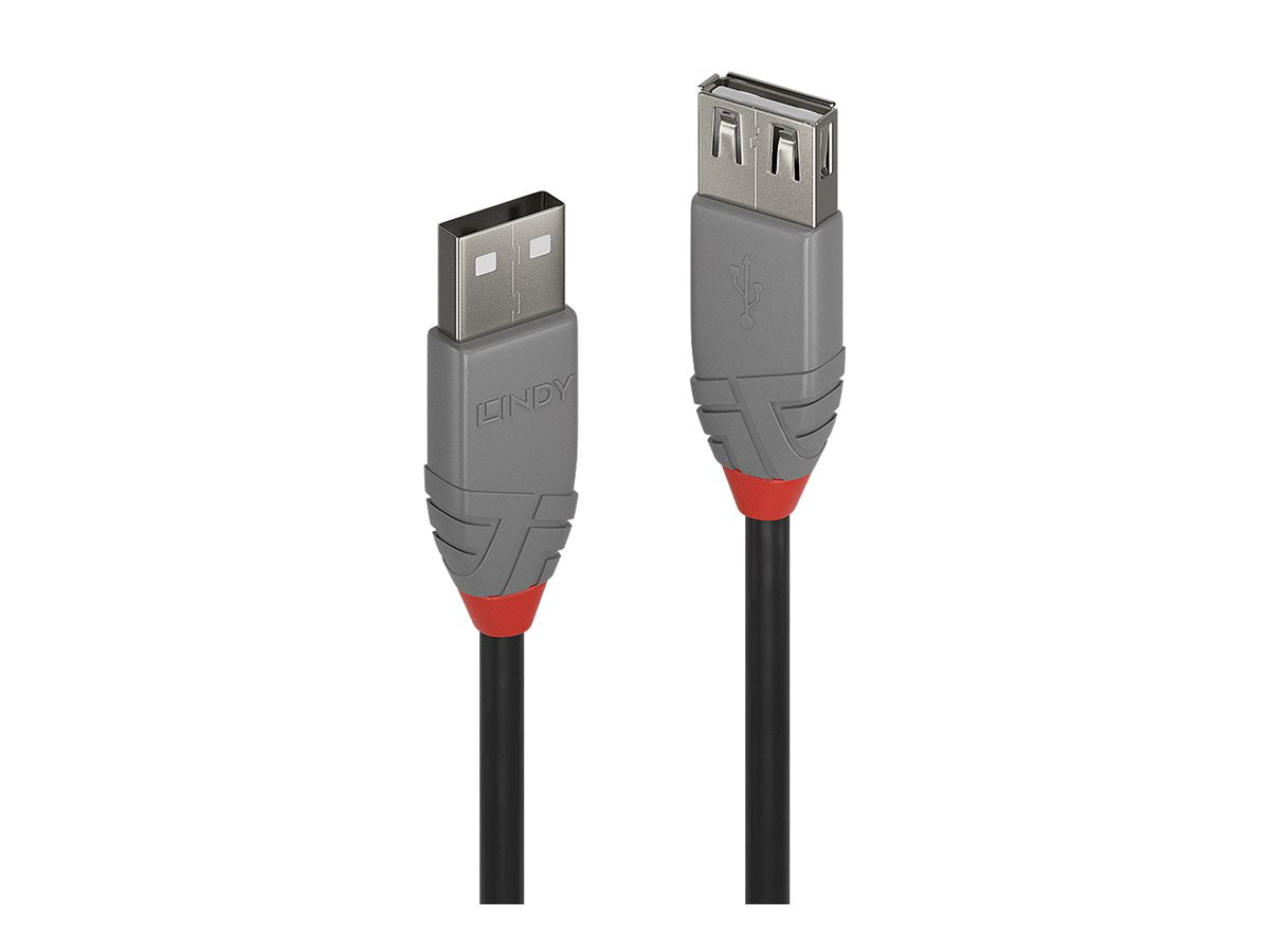 LINDY 0,2m USB 2.0 Typ A Verlängerungskabel Vorderansicht