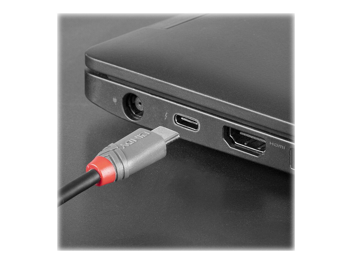 LINDY 1m USB 2.0 USB/C - Micro-B Kabel Anschlussansicht