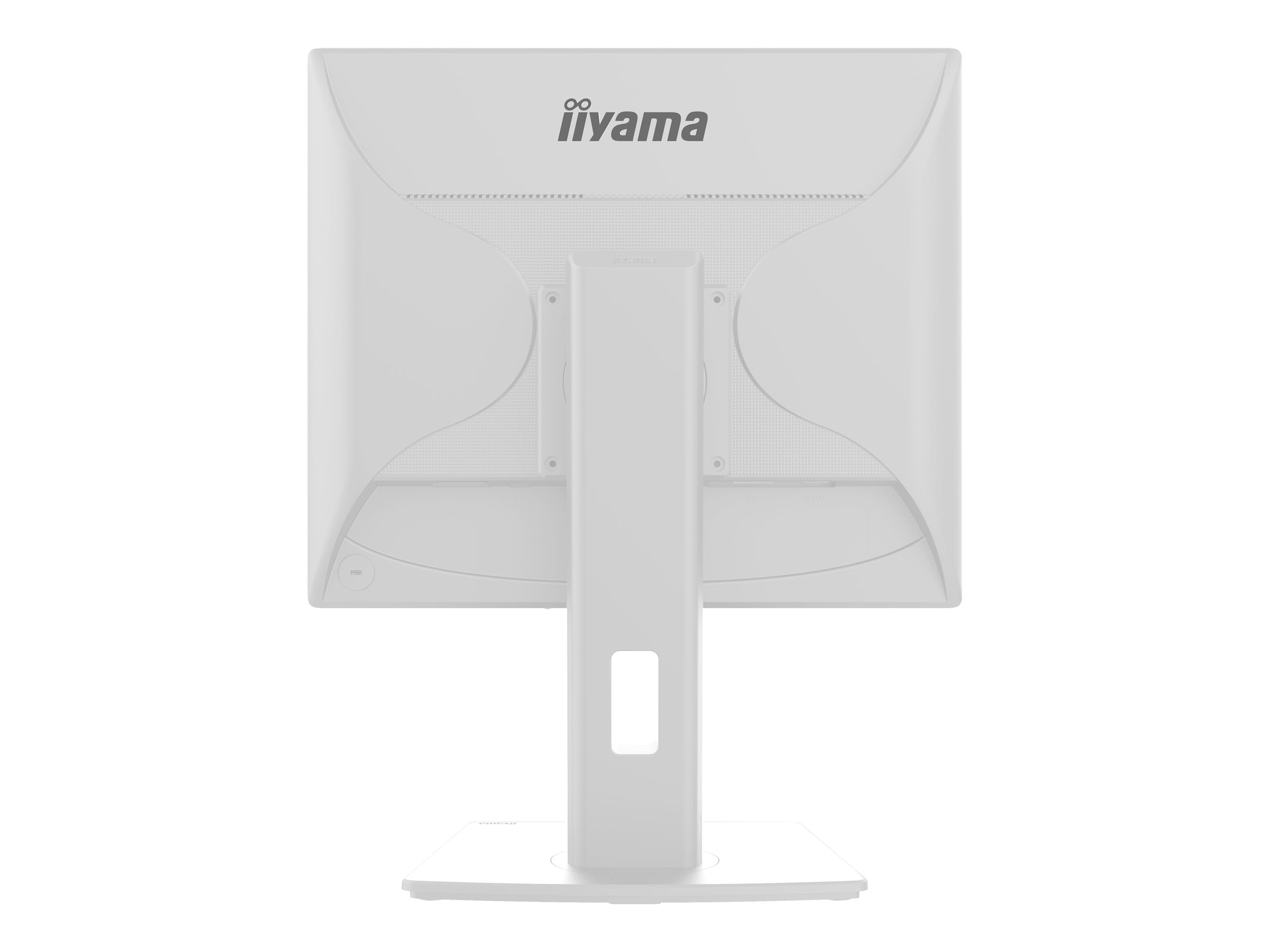 IIYAMA ProLite B1980S-W1 Monitor Vorderansicht