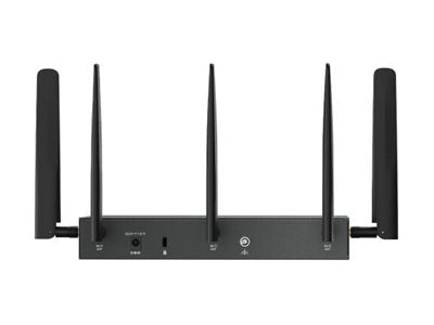 TP-LINK ER706WP-4G Omada Router Rückansicht