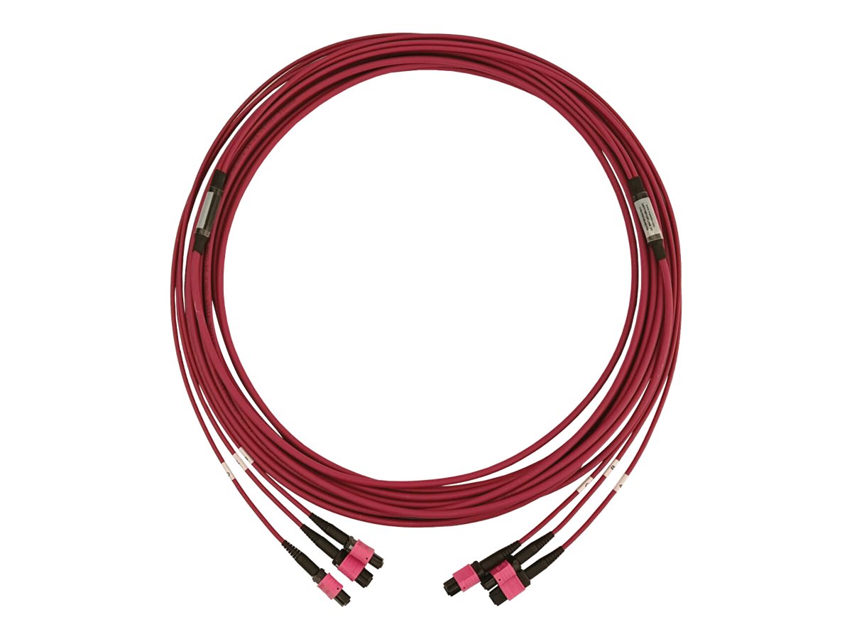 EATON TRIPPLITE 40/100/400G Multimode Fiber Optic Cable Verpackung