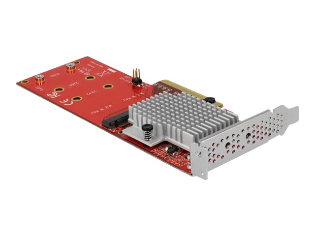 Installation der DELOCK PCI Express x8 Karte zu 2 x intern NVMe M.2 Key M - Low Profile Formfaktor in einem PC