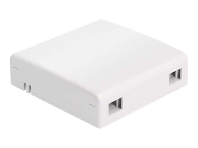DELOCK LWL Anschlussdose zur Wandmontage für 2xSC Simplex oder LC Duplex weiss