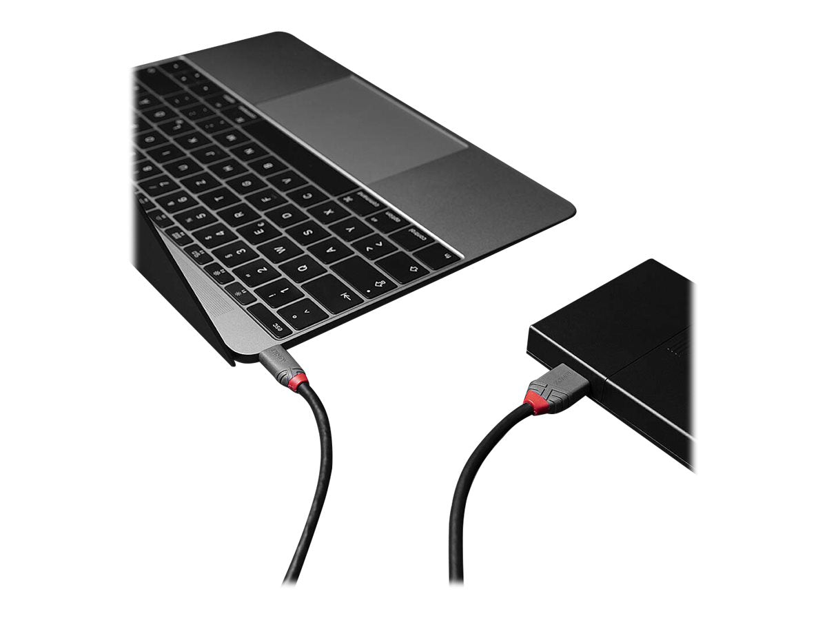 LINDY 1m USB 3.2 Typ C an Micro-B Kabel Vorderansicht