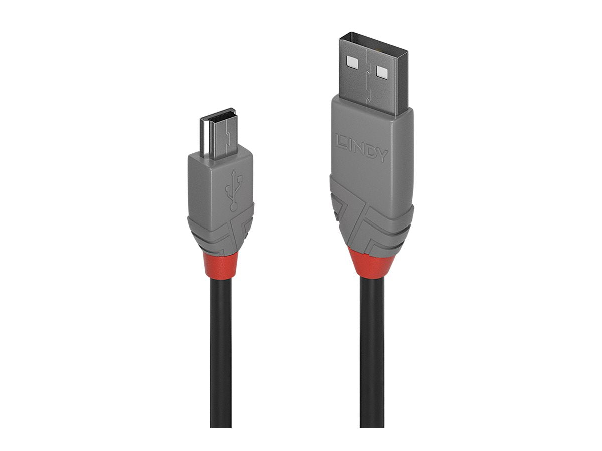 LINDY 2m USB 2.0 A/Mini-B Anthra Line Kabel Vorderansicht